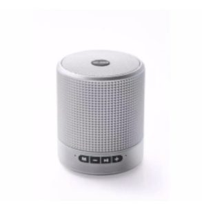 Outdoor Speaker With Wireless Mic - Q6S