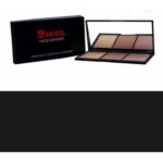 Zikel Face Definer 3-in-1 Pro Kits (Highlighter, Contour, Bronzer)