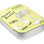 Exotica Treasure Scent Lemon Assorted Air Freshner 28 g