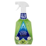 Astonish Mould & Mildew Blaster 750ml