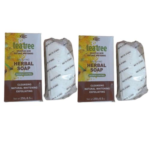 1-828.jpg Tea Tree Herbal Exfoliating Soap ×2