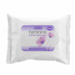 lntimate Hygiene Scents Daily Feminine Vaginal Wipes, X3