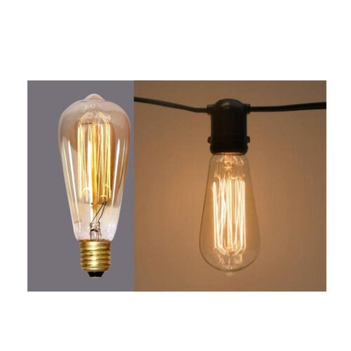 Edison bulb 6w ×2
